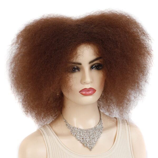 Afro Kinky curly wig